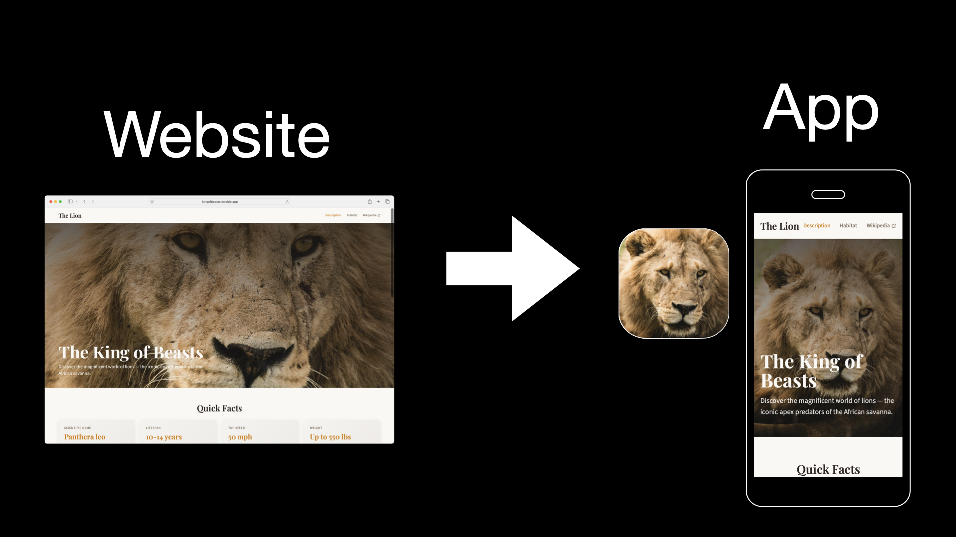 AI Web Application to Mobile App Conversion Process